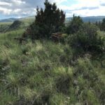 Lot 138 Pinecone Trail