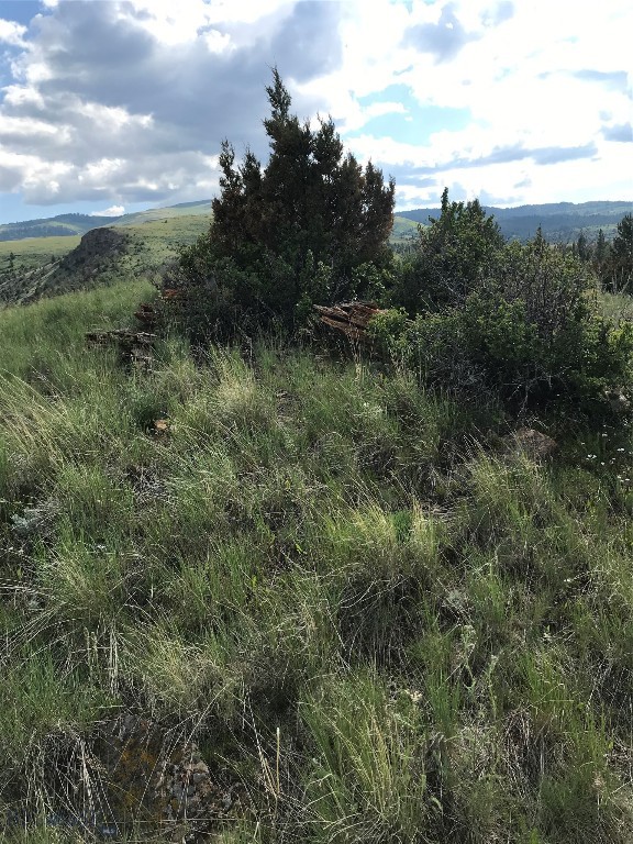 Lot 138 Pinecone Trail