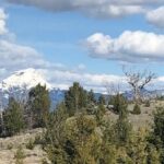 Lot 138 Pinecone Trail