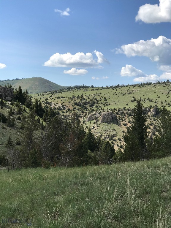 Lot 138 Pinecone Trail