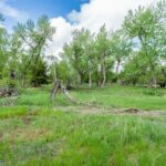 Lot 14 A TBD Riverway Road