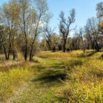 Lot 14 A TBD Riverway Road