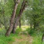 Lot 15 A TBD Riverway Road