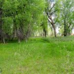 Lot 15 A TBD Riverway Road