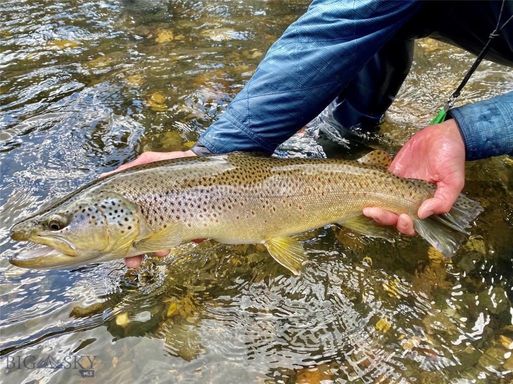 Belgrade MT 59714 - 7