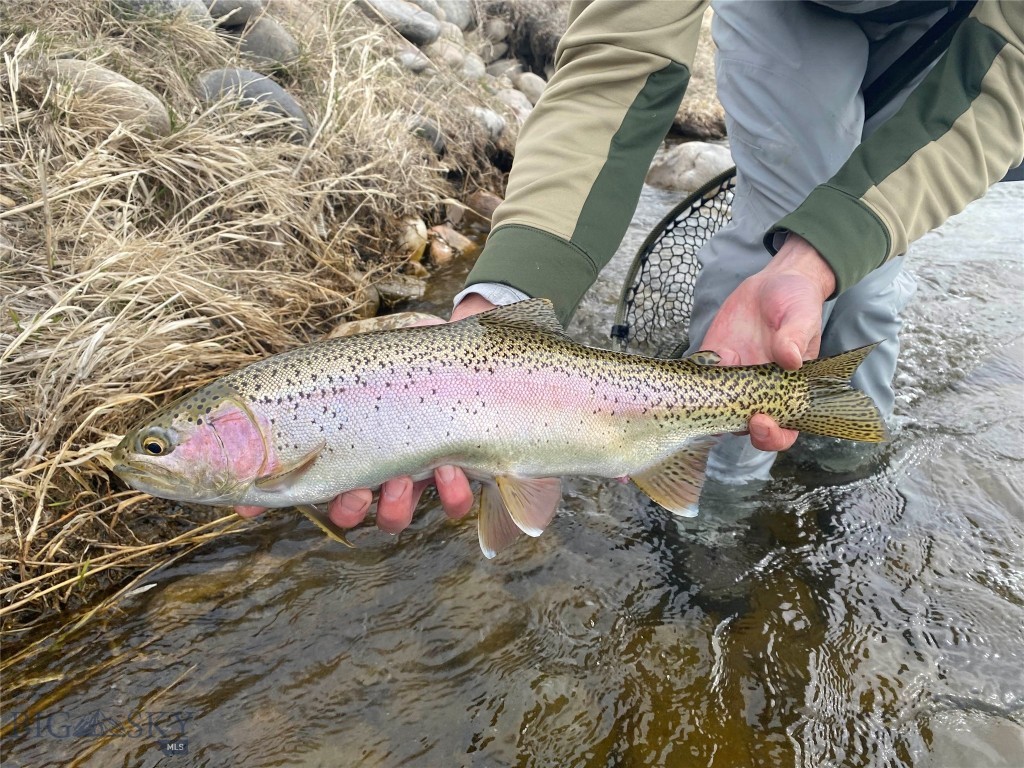 Belgrade MT 59714 - 8