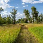 Lot 15 A TBD Riverway Road