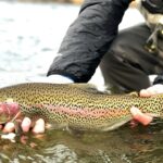 Belgrade MT 59714 - 10