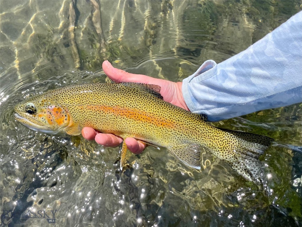 Belgrade MT 59714 - 3