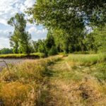 Belgrade MT 59714 - 5