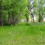 Lot 16 A TBD Riverway Road