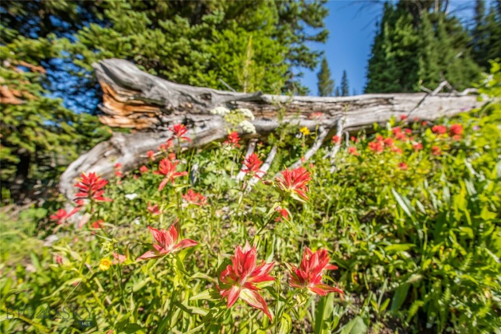 Big Sky MT 59716 - 1