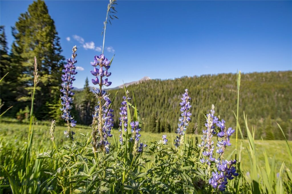 Big Sky MT 59716 - 6