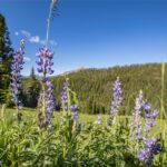 Big Sky MT 59716 - 6