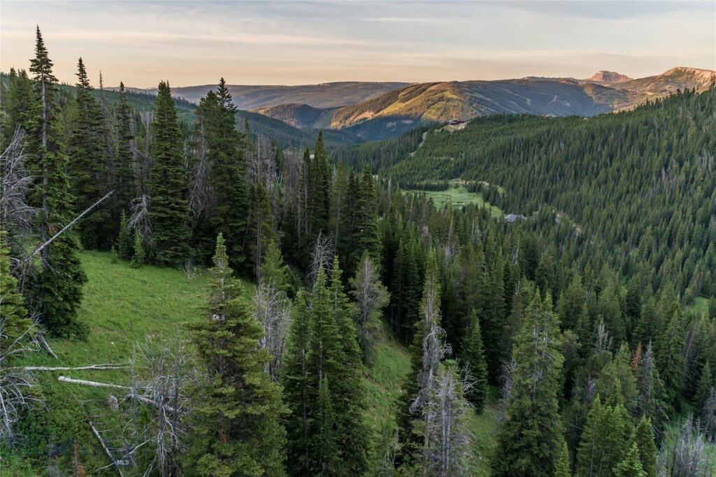 Big Sky MT 59716 - 7