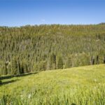 Big Sky MT 59716 - 9