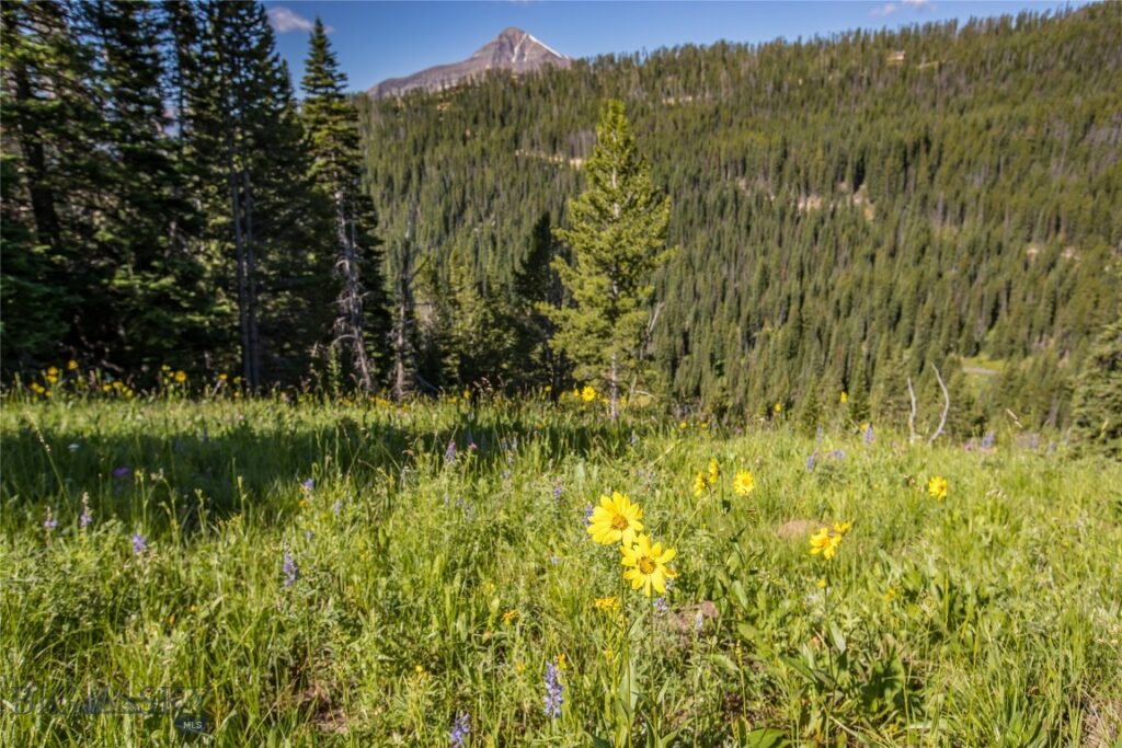 Lot 16 Beehive Basin Road