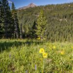 Lot 16 Beehive Basin Road