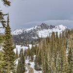 Lot 16 Beehive Basin Road