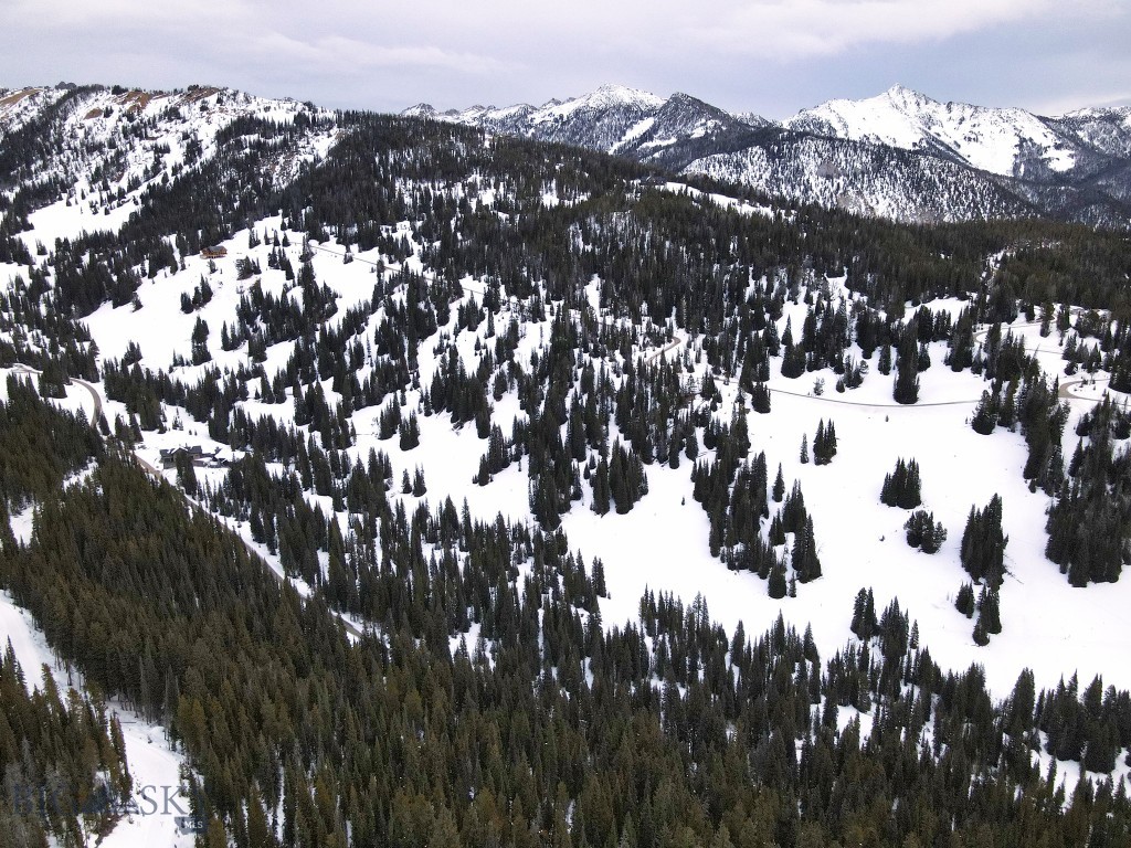 Lot 16 Beehive Basin Road