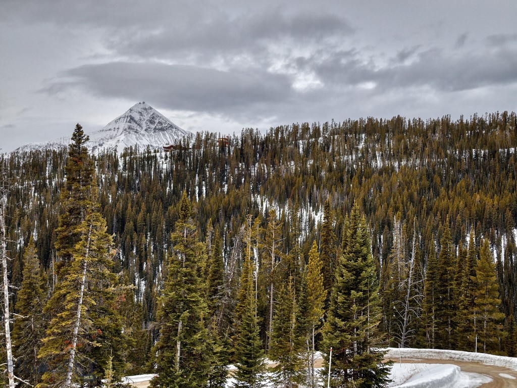 Lot 16 Beehive Basin Road