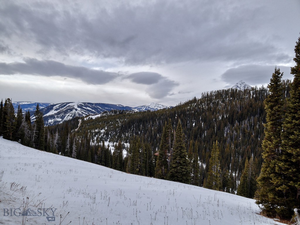 Lot 16 Beehive Basin Road