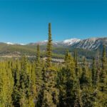 Big Sky MT 59716 - 1