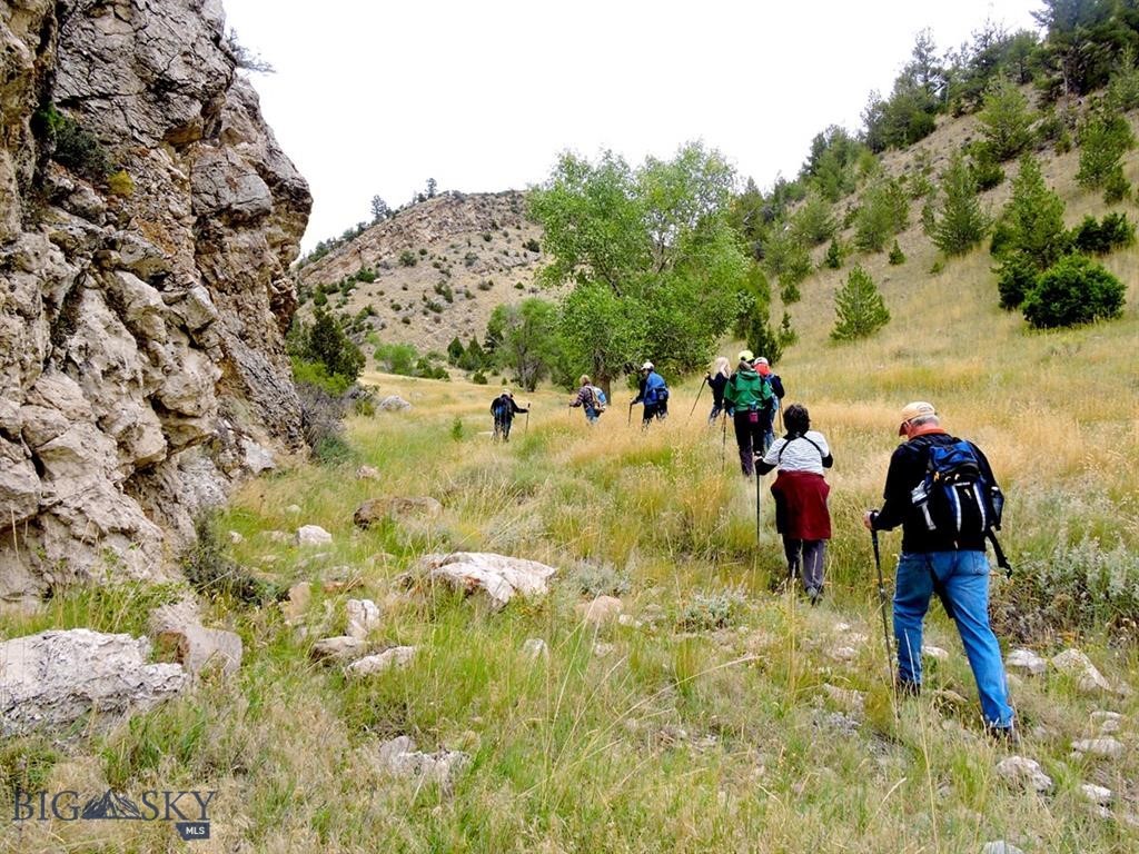 Lot 175 Horseshoe Gulch