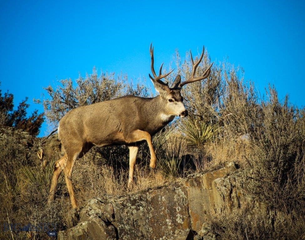 Lot 175 Horseshoe Gulch