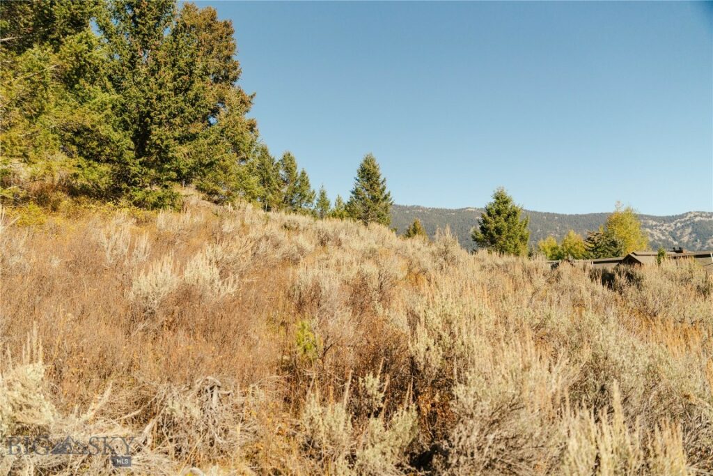 Big Sky MT 59716 - 2