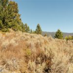 Big Sky MT 59716 - 2