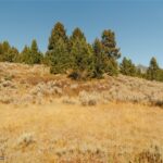 Lot 19 Upper Whitefish Drive