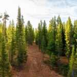 Lot 2 Highlands West