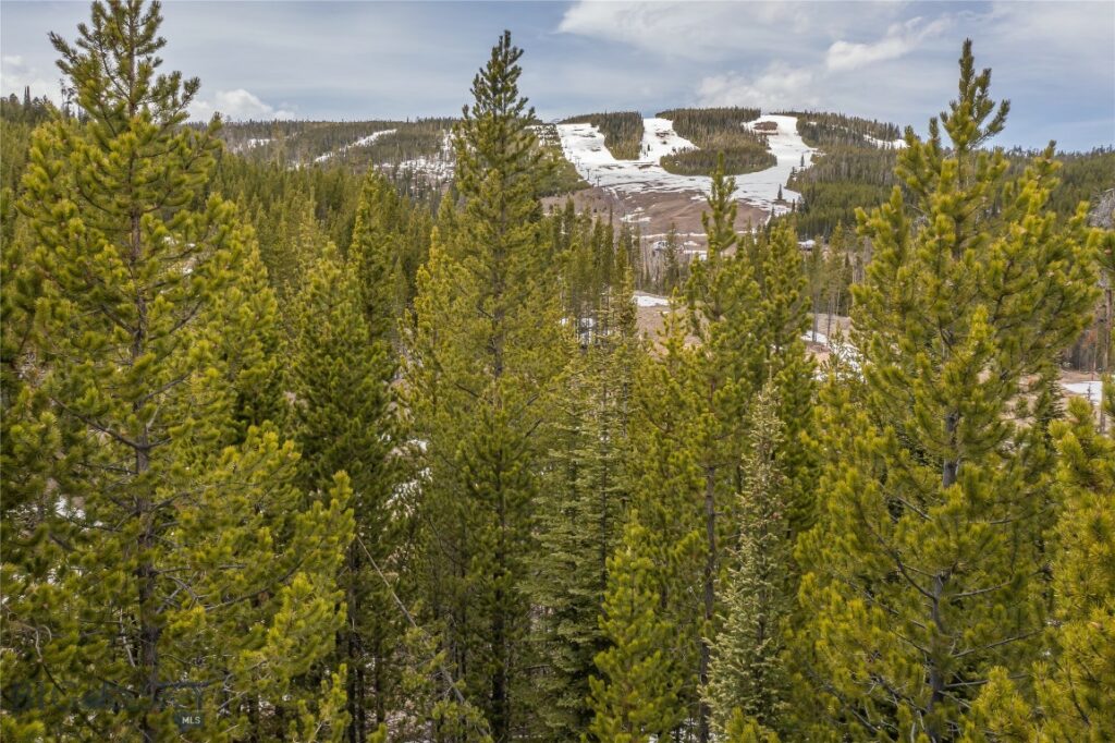 Big Sky MT 59716 - 21