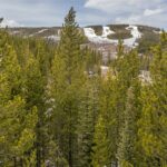 Big Sky MT 59716 - 21