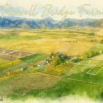 Belgrade MT 59714 - 1