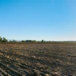 Belgrade MT 59714 - 6