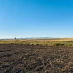 Lot 2 Penwell Bridge Farm