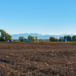 Belgrade MT 59714 - 7