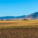 Belgrade MT 59714 - 5