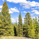 Lot 2 Wheatgrass Meadows