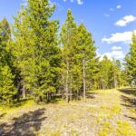 Big Sky MT 59716 - 6