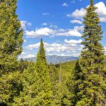 Lot 2 Wheatgrass Meadows