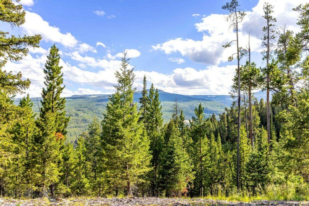 Big Sky MT 59716 - 7