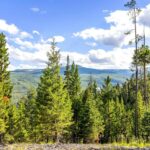 Big Sky MT 59716 - 7