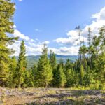 Lot 2 Wheatgrass Meadows