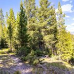 Big Sky MT 59716 - 9