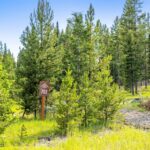 Big Sky MT 59716 - 10