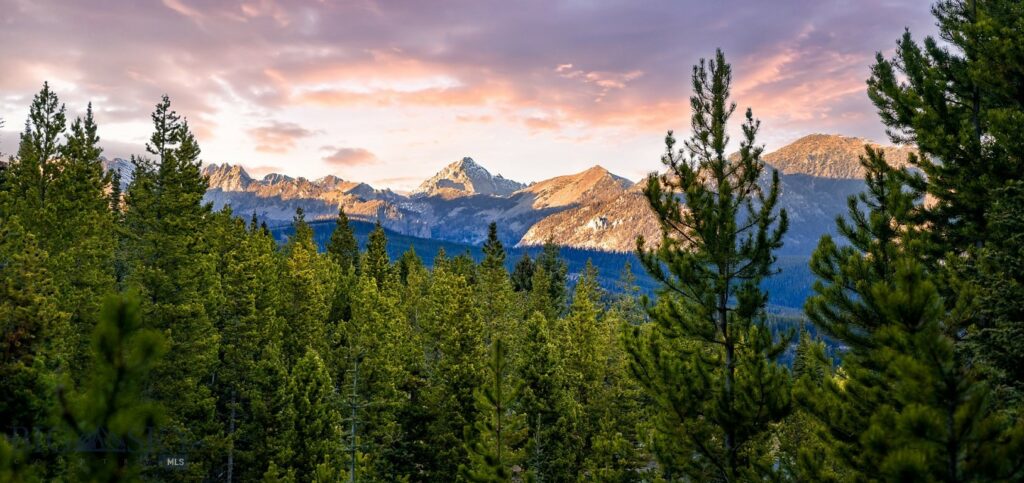 Lot 2 Wheatgrass Meadows