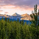 Lot 2 Wheatgrass Meadows